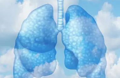 Possible Sources of Indoor Air Pollution