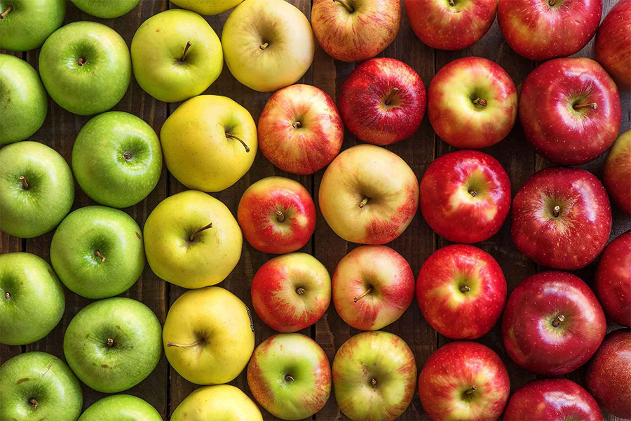 Comparing Apples To Apples When Choosing a Radon Contractor