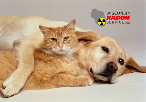 Radon gas & pets - Make sure your furry friends and protected from radon